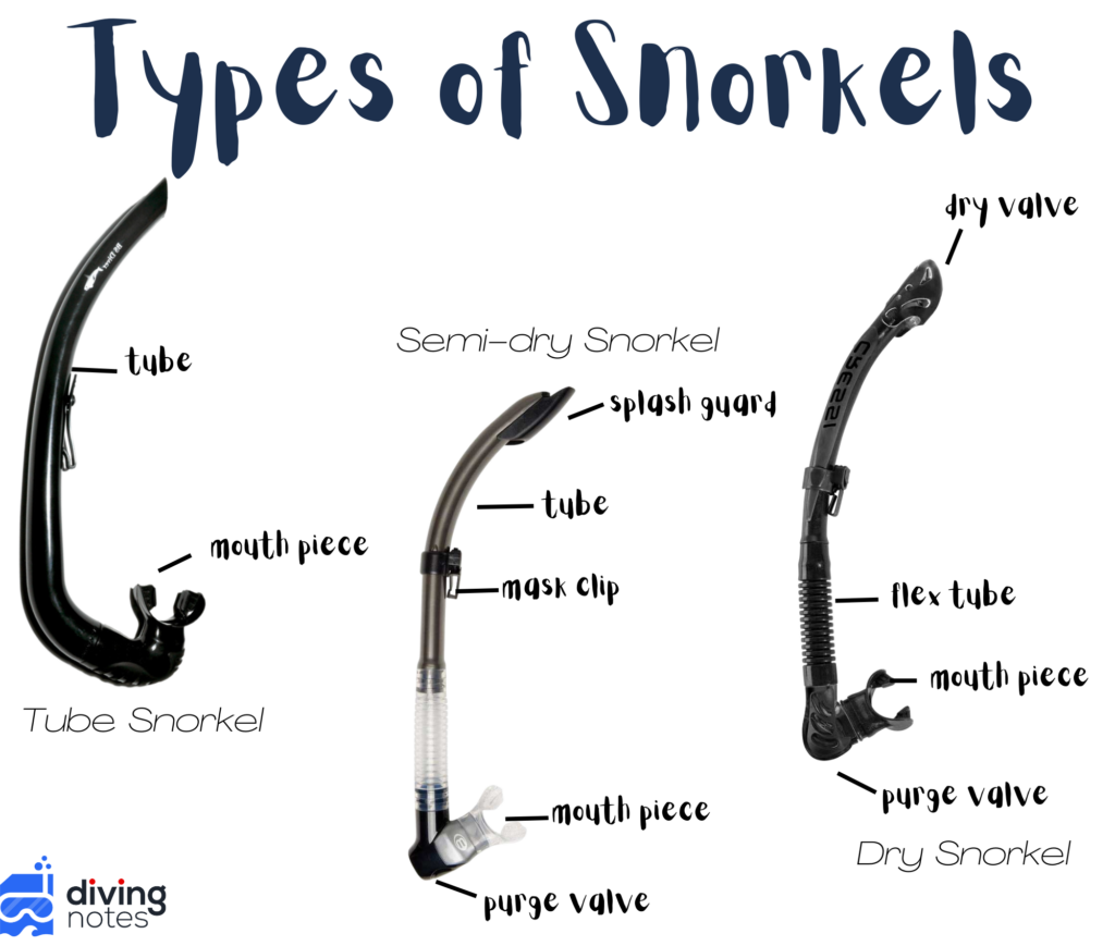 Infographic of the different snorkel types