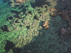 Drone View of Coral Reef