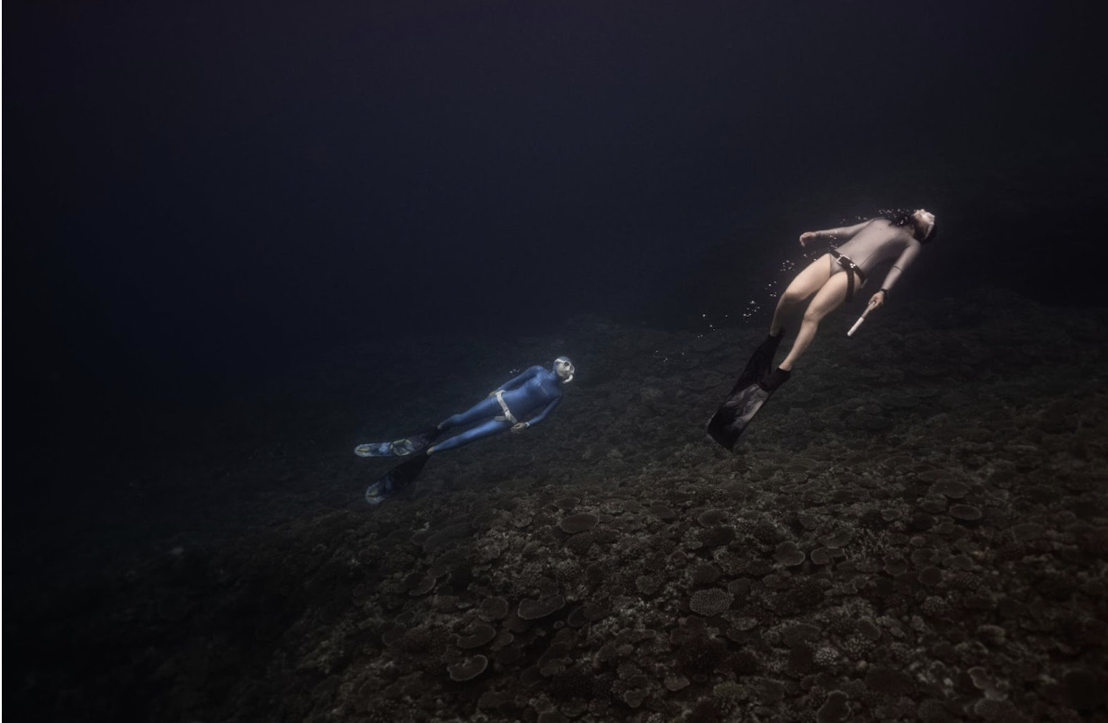 Screen Shot 2023 12 11 At 1.55.43 PM