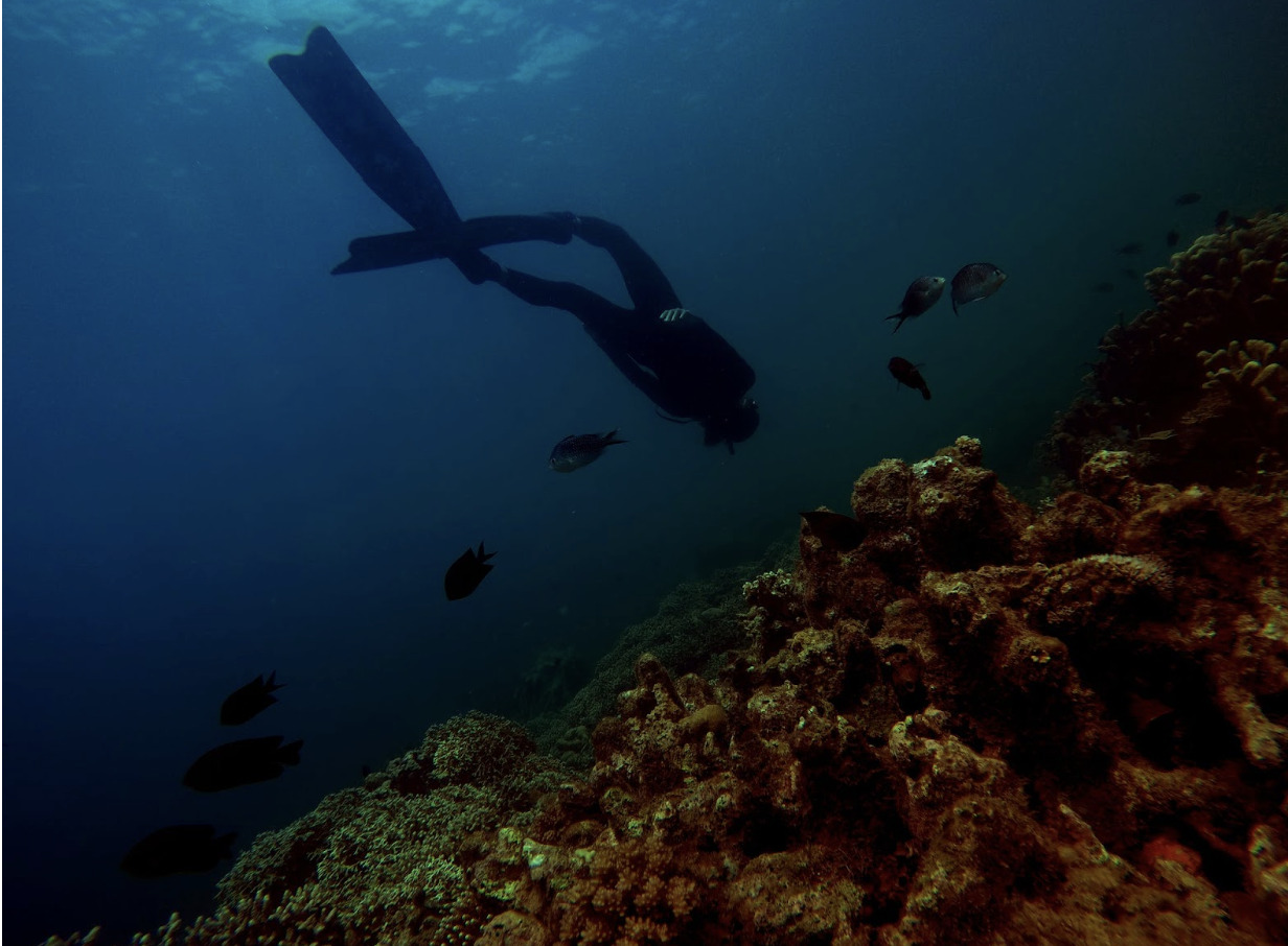 Screen Shot 2023 12 11 At 1.56.03 PM